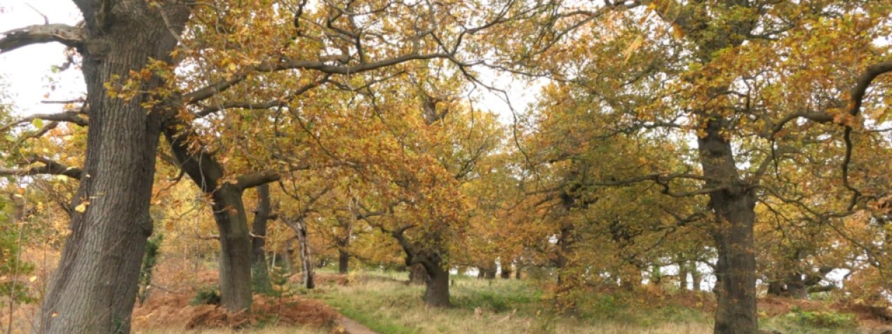 Dalkeith - Schottland / Großbritannien