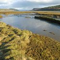 Munlochy - Schottland (Großbritannien)
