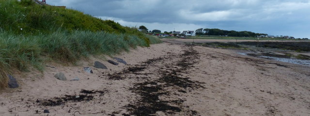Carnoustie - Scotland / Royaume Uni