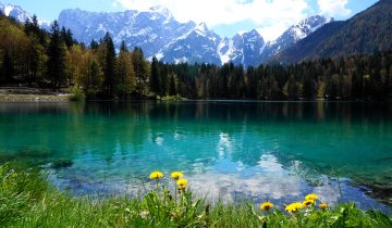 Fusine