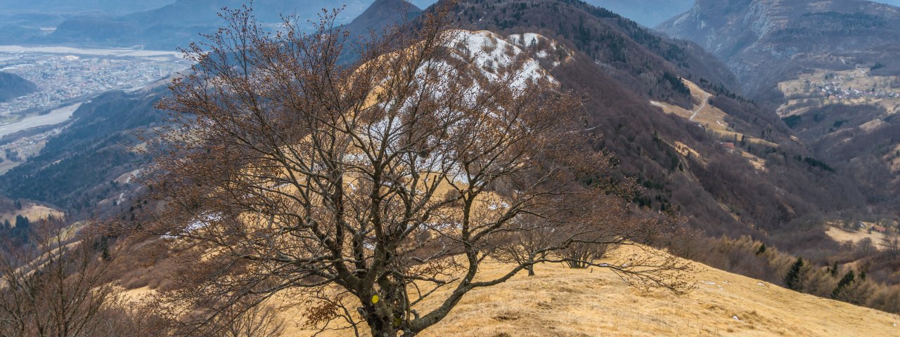Forchia - Adiyaman / Italie