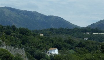 Cogoleto