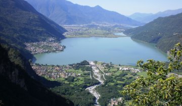 Verceia