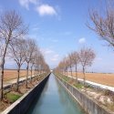 Flaibano - Friaul-julisch-venetien (Italien)