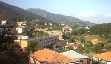 Sciarborasca