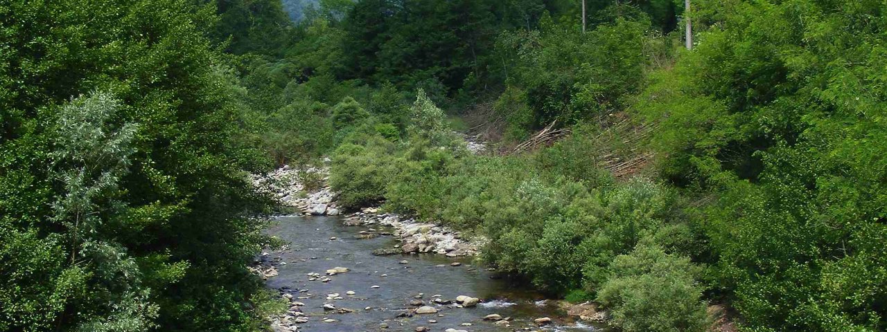 Guardabosone - Piemonte / Italia Guardabosone - Piemonte / Italia