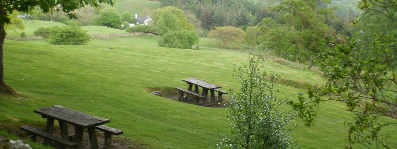 Gwydir Forest Park | Betws-y-coed | Wales | Royaume Uni