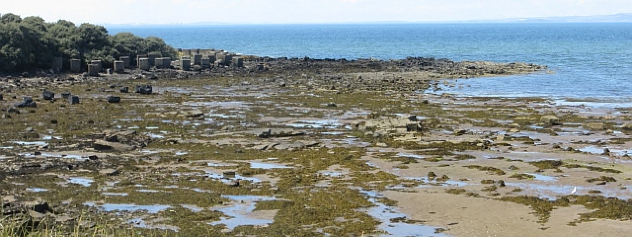 East Sands | St Andrews | Scotland | United Kingdom