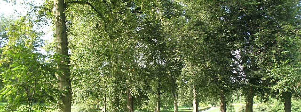 Callendar Park | Falkirk | Scotland | Reino Unido