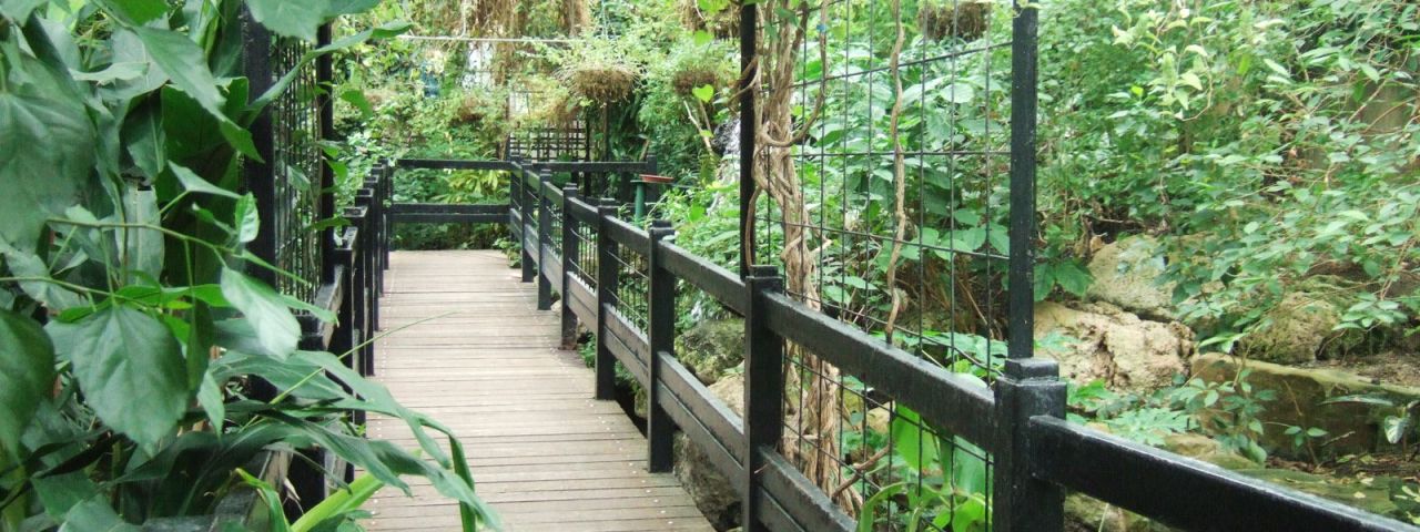 Tropical World | Leeds | England | United Kingdom