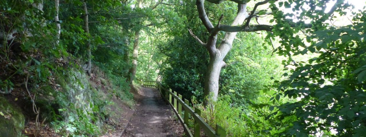 Lymm Dam | Lymm | England | Großbritannien