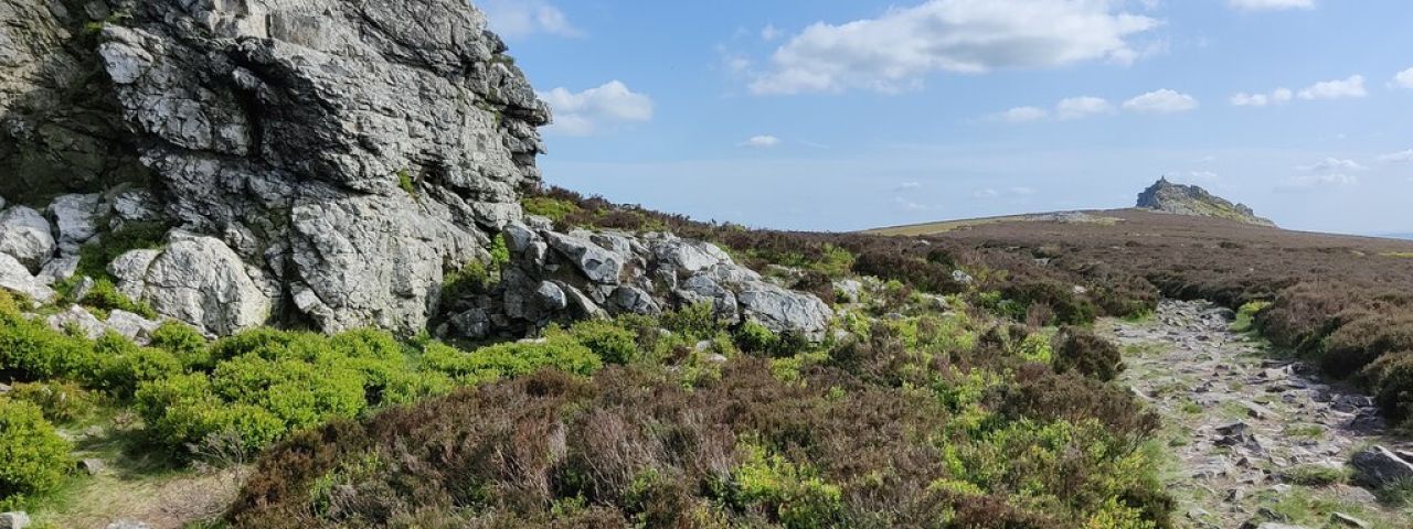 Stiperstones National Nature Reserve | Shrewsbury | England | Großbritannien