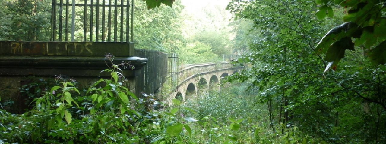 Adel Dam Nature Reserve | Leeds | England | United Kingdom