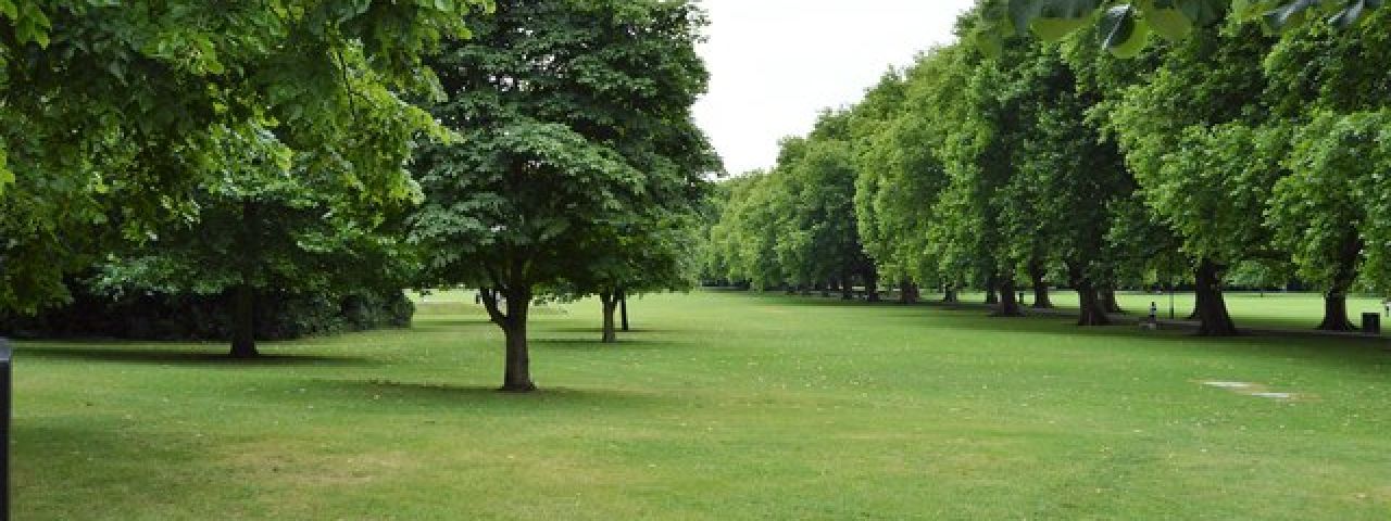 Jesus Green | Cambridge | Angleterre | Royaume Uni