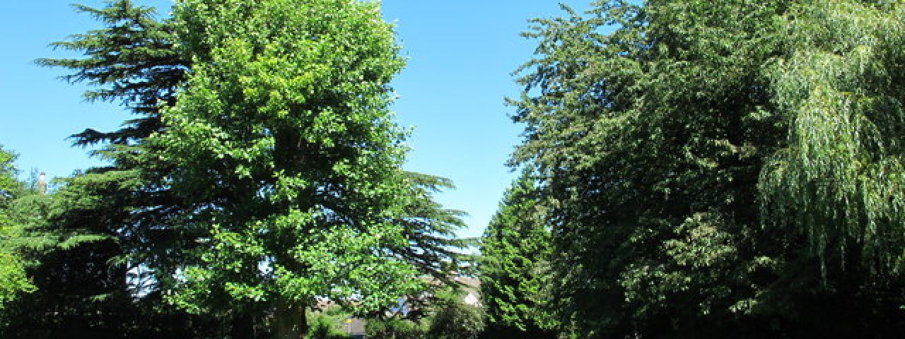 Langley Park Gardens | Montrose | Schottland | Großbritannien