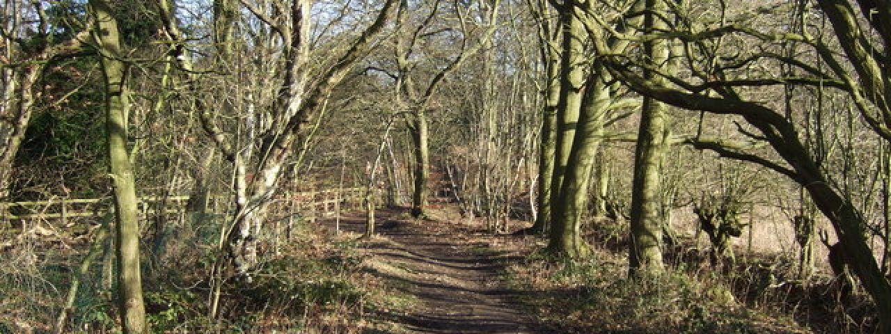 Golden Acre Park | Leeds | Angleterre | Royaume Uni