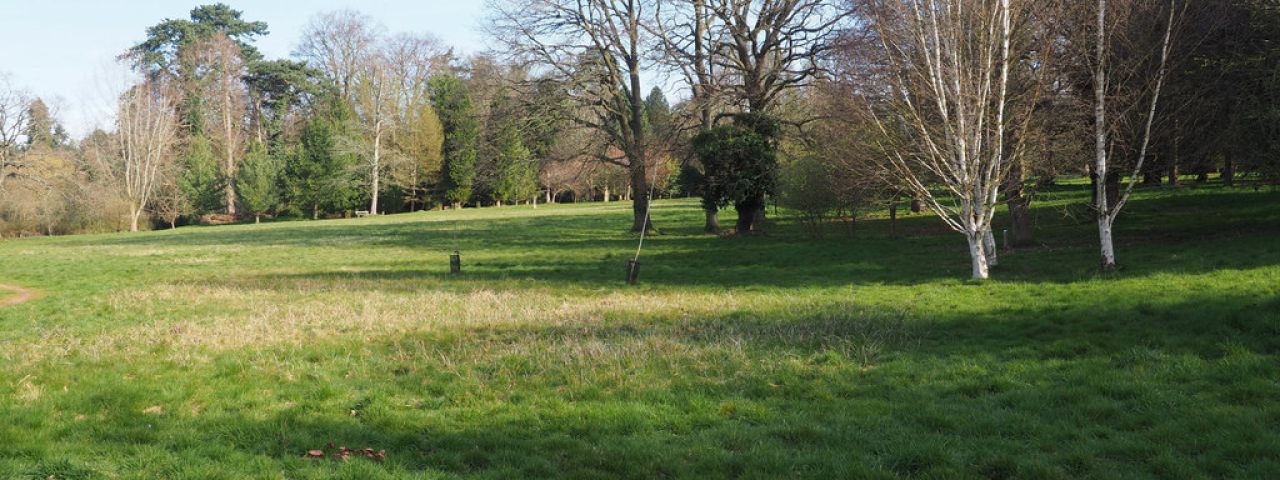 Lynford Arboretum | Thetford | Angleterre | Royaume Uni