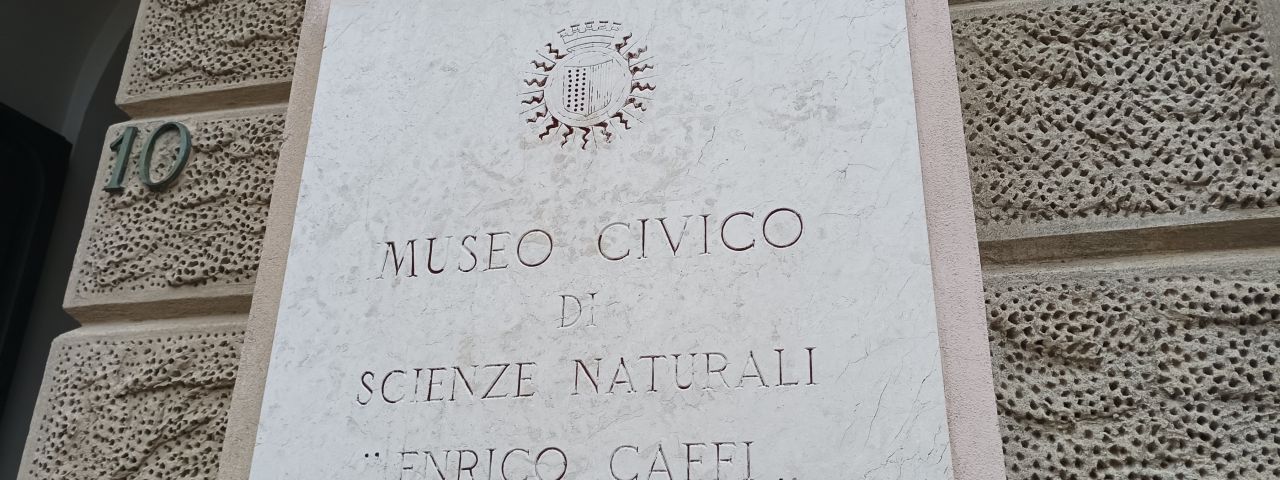 MUSEO SCIENZE NATURALI | Voghera | Aichi | Italie