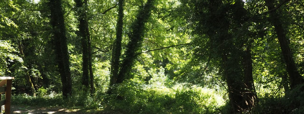 Parco Naturale delle Lame del Sesia | Vercelli | Aksaray | Italie