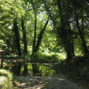 Parco Naturale delle Lame del Sesia